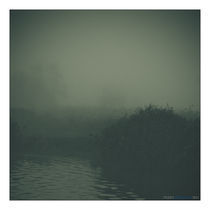 Foggy World by Perry Dolmans