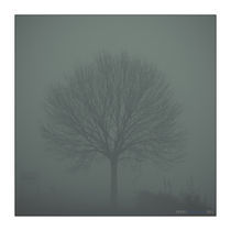 Foggy World von Perry Dolmans