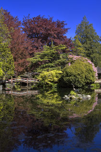 Japanese Garden at Hatley Park in Victoria, British Columbia, Canada von Louise Heusinkveld