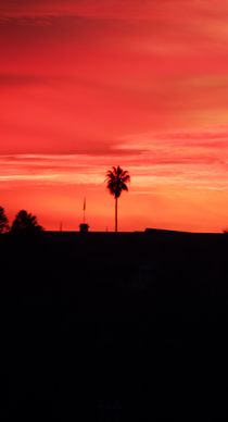 Sunset and palms by Eva-Maria Steger