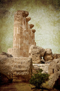 Temple of Heracles by RicardMN Photography