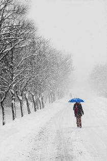 alone in the snow von Fatih Cemil  Kavcioglu