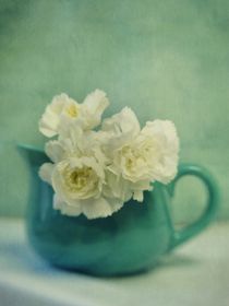 carnations in a jar by Priska  Wettstein