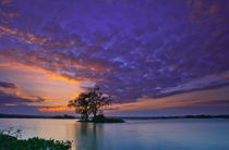 Purple Sky by Thommy Kusbin