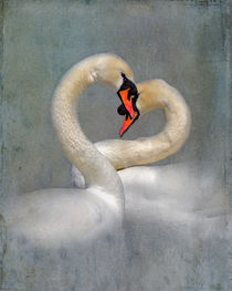 Romantic Swans by Louise Heusinkveld