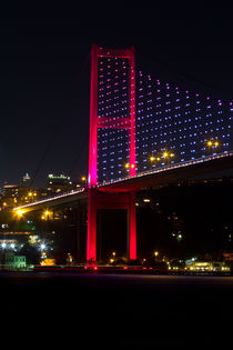 Istanbul Bosphorus Bridge by Evren Kalinbacak