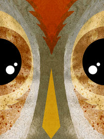 Owl Face by Robert Ball