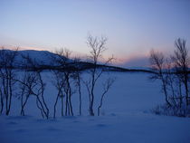 Schneelandschaft in Norwegen von Katy Haecker