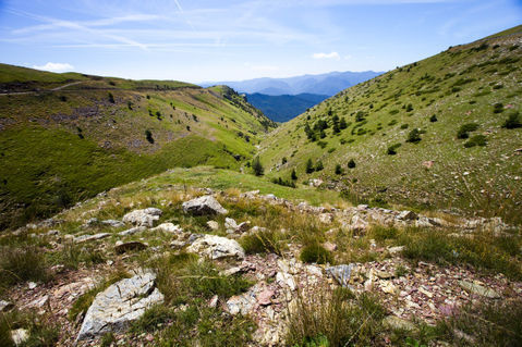 Pyrenean-slopes