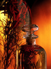 Fire Vinegar by Ken Crook