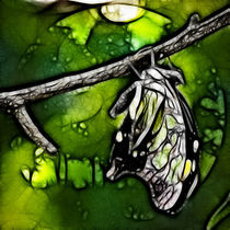 Fractal Butterfly von goodartpix