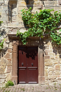 Abbey Door von safaribears