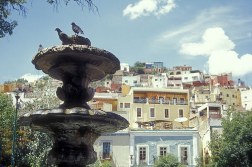 Guanajuato026