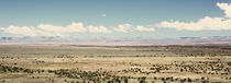 Karoo Desert 1 von Neil Overy