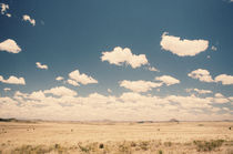 Karoo Desert 2 by Neil Overy