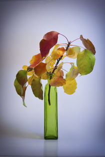 Autumn bouquet von Irina Moskalev