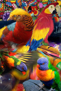 Colorsbird  von jean-carlos-jinckjeanc