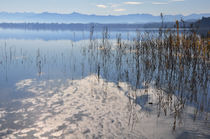Starnberger See bei Bernried 2 von Frank Rother