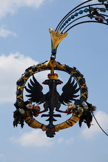 Schwarzer Adler by safaribears