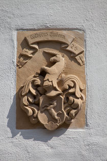 Coat-of-arms of a witch-hunter von safaribears