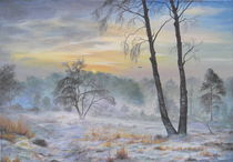 Snow Storm von Apostolescu  Sorin