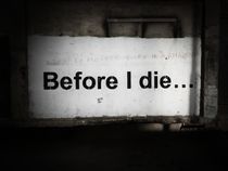 Before I die by Eva-Maria Steger