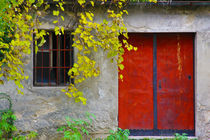 Red doors by pj