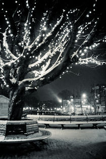 Winter tree by crisspix