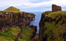 Wick Castle and cliffs, Caithness, Scotland, UK by Linda More