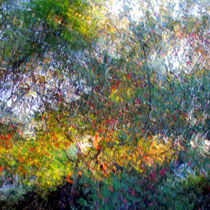 Ode to Monet by Kitsmumma Fine Art Photography