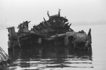 three seagulls on a shipwreck von Hacer Merve Alanyali