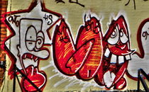 Graffiti of the Bronx by Maks Erlikh