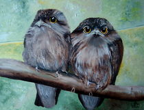 Frogmouths by Wendy Mitchell