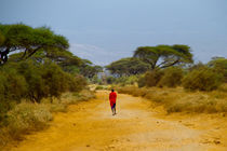 The path of Maasai von Víctor Bautista