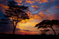 Serengeti Sunset by Víctor Bautista