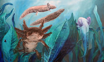 Axolotlwelt von Dorothee Rund