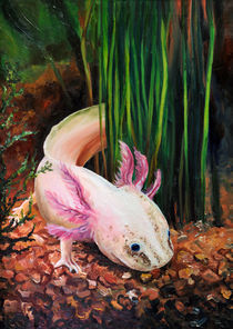 Axolotl by Dorothee Rund