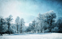 Frozen Landscape by Eva Stadler
