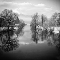 'Winter's silence // Winterstille' by Eva Stadler