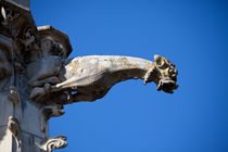 Gargoyle in Amboise by safaribears