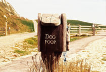 Dog Poop by Giorgio Giussani