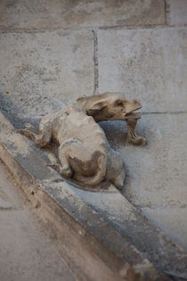 Gargoyle on Blois Cathedral by safaribears