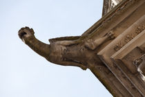 Gargoyle in Blois by safaribears