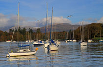 Peaceful morning on Windermere by Louise Heusinkveld