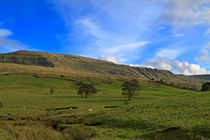 Mallerstang Dale in Cumbria UK by Louise Heusinkveld