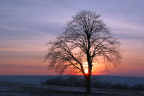 Winterlandschaft und Sonnenuntergang by Wolfgang Dufner