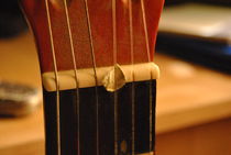 guitar von Dario Fiorentino