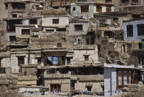 Houses in Leh, INDIA von Alessia Travaglini