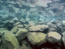 Underwater Landscape von Andreas Müller