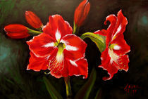 Rote Amaryllis von Christa Leyer
